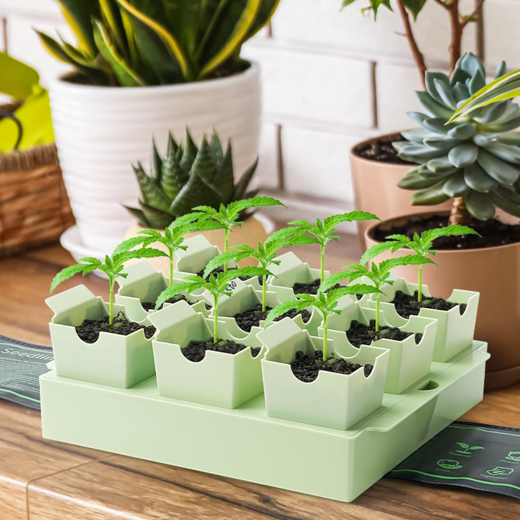 Seed Starter Tray with Lift-Out Handles for Easy Transplanting | 9 removable cells support individual care; reusable