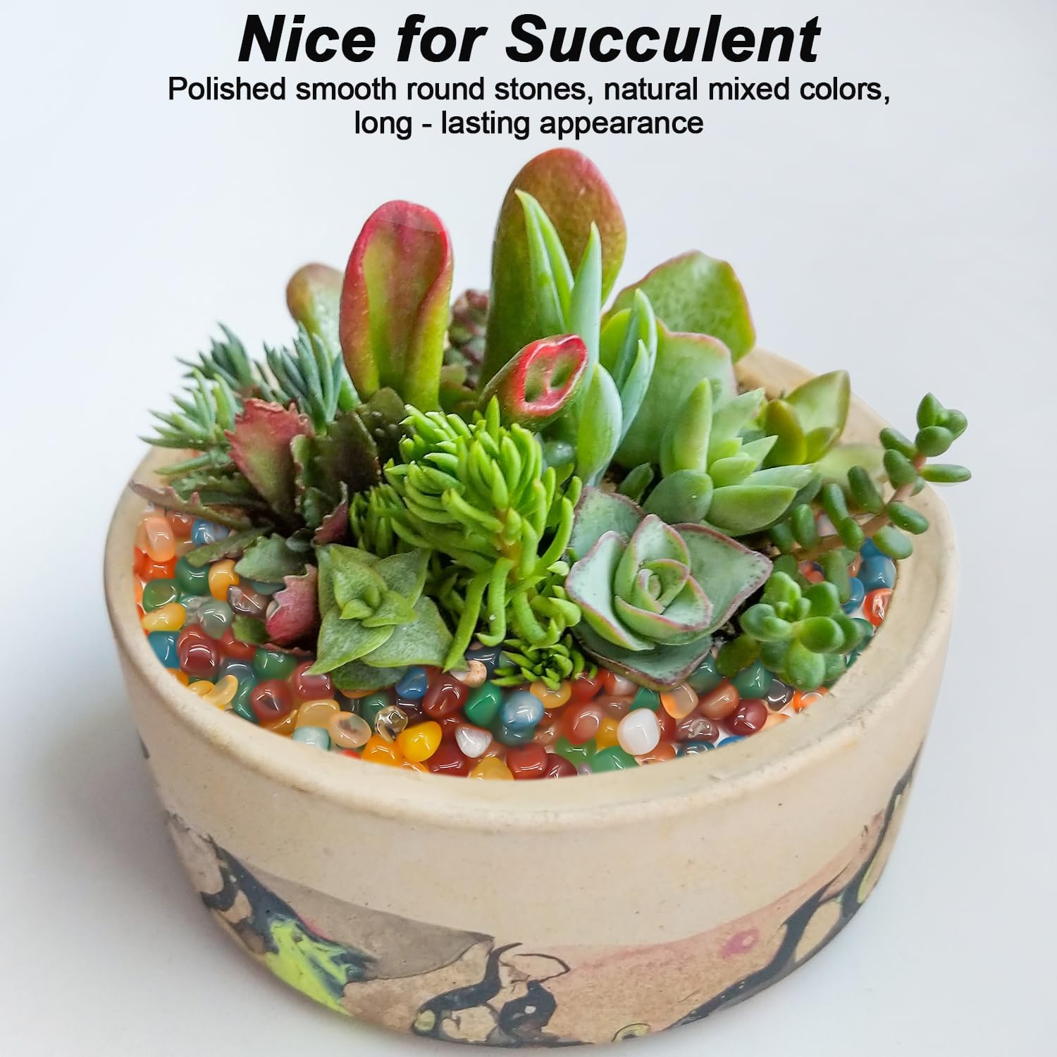 Decorative Aquarium Rocks & Pebbles for Fish Tank, Plant, & Landscaping | Smooth Polished Pebbles for DIY Resin Art