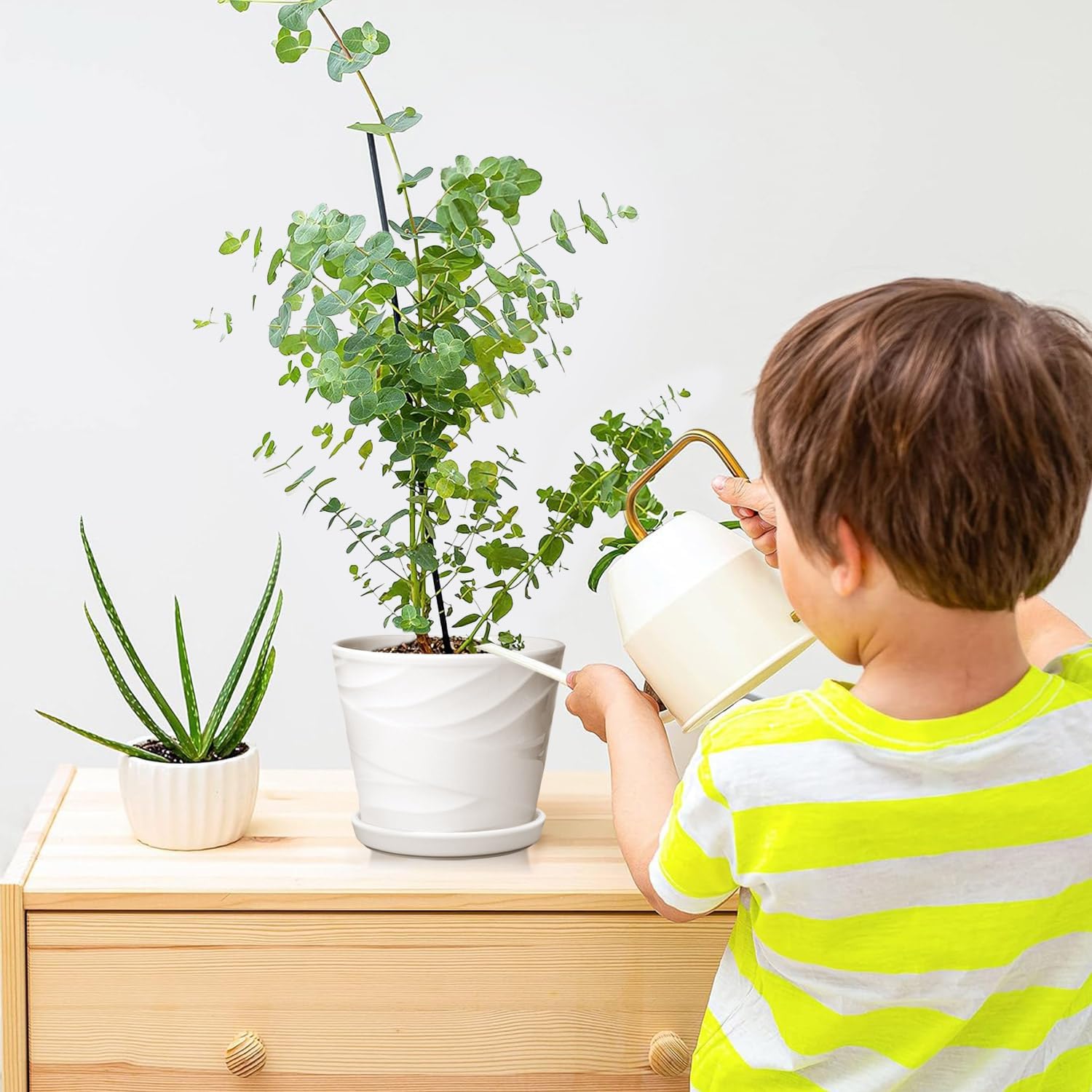 5 Inch Plant Pots,Ceramic Planter with Drainage and Saucer,Ceramic Pots for Plants,Planters for Indoor Plants,Ceramic