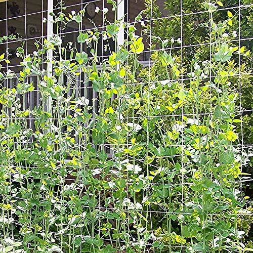 Toolazy Trellis Netting 5 x 350 ft - Heavy Duty Nylon Garden Netting with 6 Inch Mesh, Soft Plant Support Net for