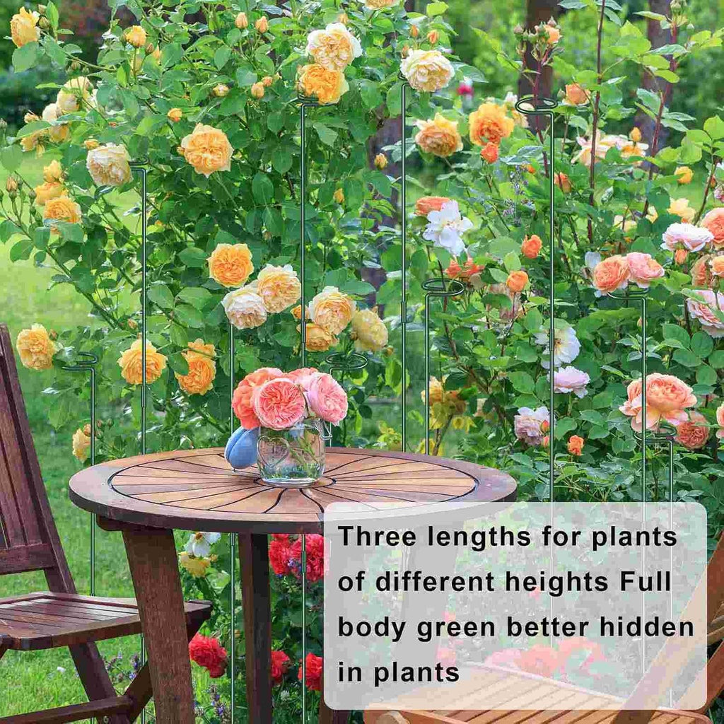 36 Inch Plant Sticks Support Tall Three Sizes (12 or 24 or 36 Inch), 8 Pcs 4.5mm Adjustable Outdoor and Indoor Plant