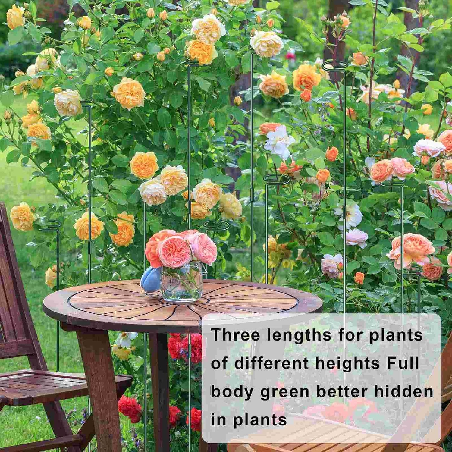 36 Inch Plant Sticks Support Tall Three Sizes (12 or 24 or 36 Inch), 8 Pcs 4.5mm Adjustable Outdoor and Indoor Plant
