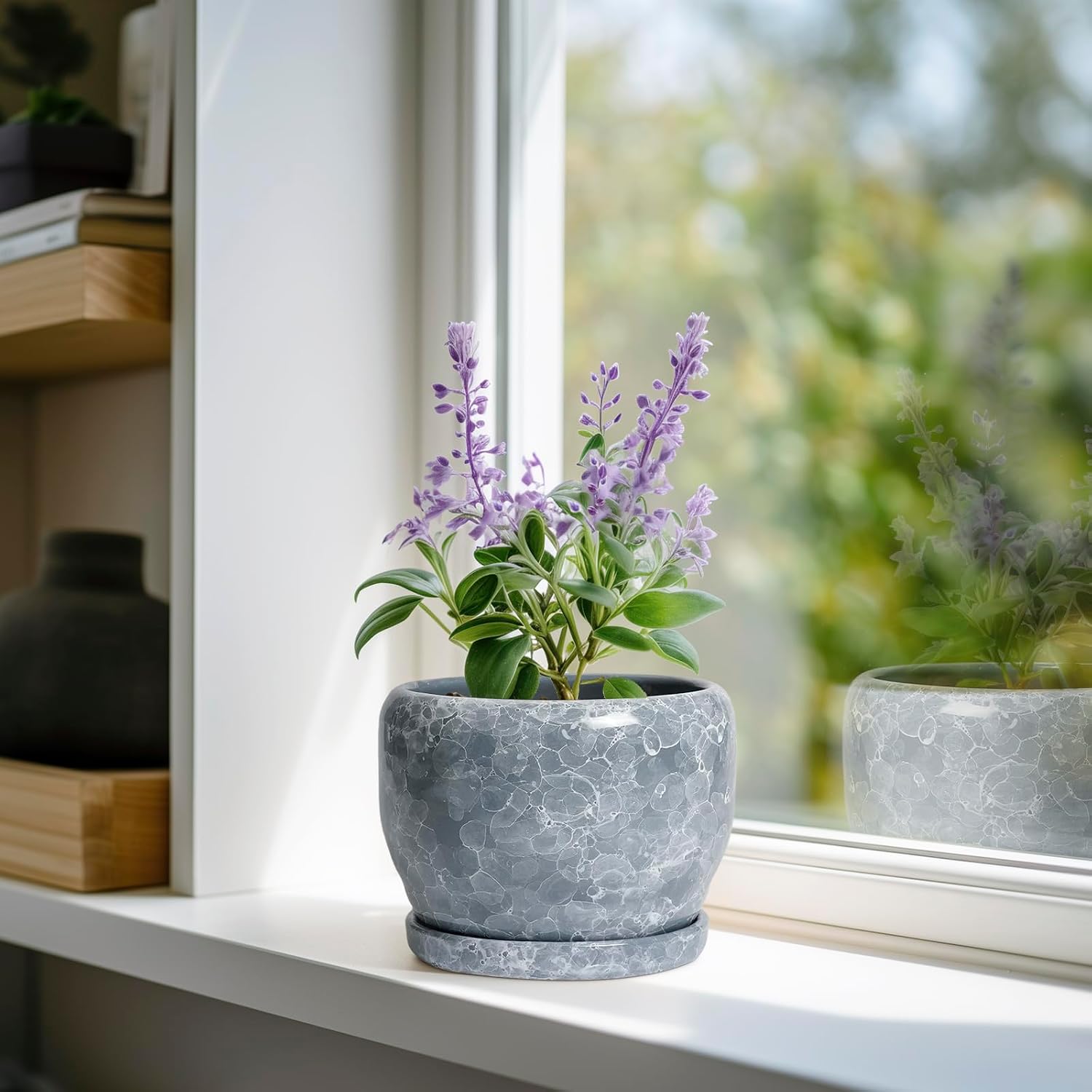SQOWL 6 Inch Plant pots Indoor - Ceramic Planter with Drainage Hole and Saucer, Ceramic Flower Pot Outdoor, Decorative