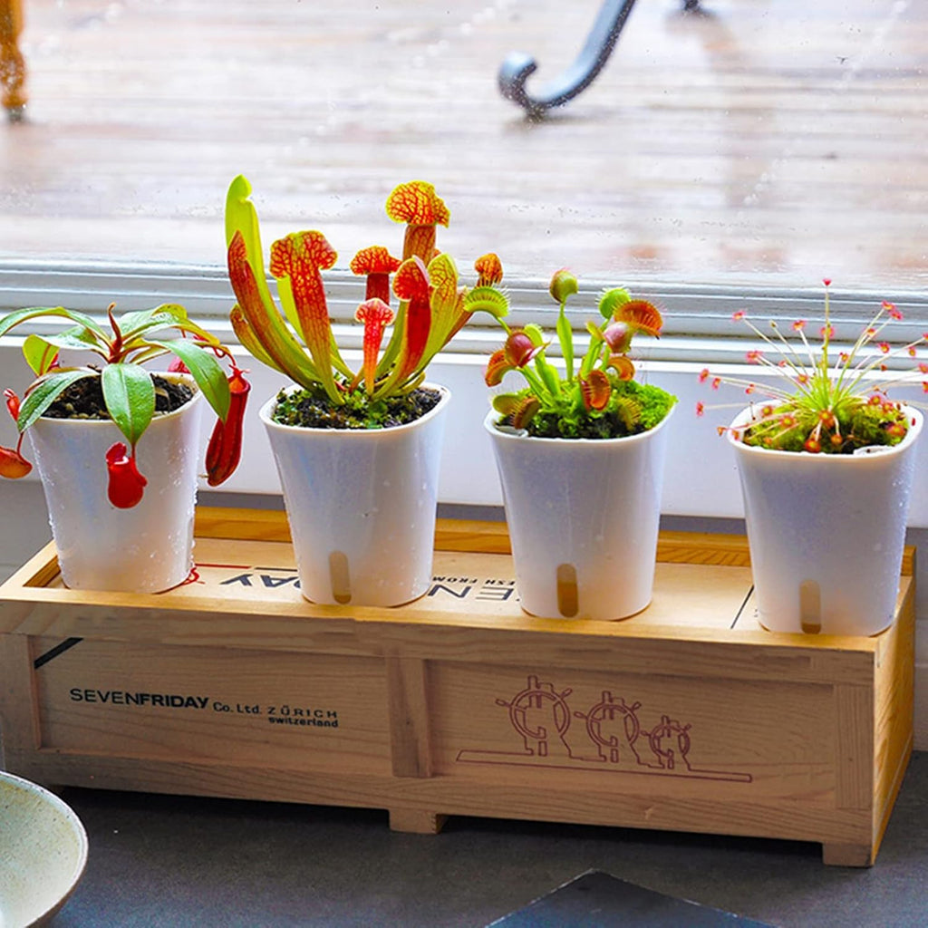 3" Self Watering Pots,20 Sets Self Watering Planter Pots for Indoor Plants with Water Level Indicator and Multiple