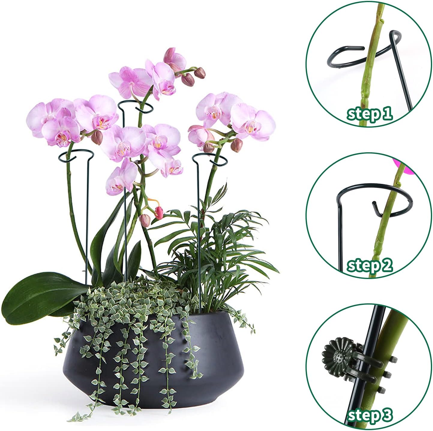 12 Pack Plant Support Stakes with 24 Pcs Plant Clips, Garden Single Stem Support Stake, Plant Cage Support Ring for