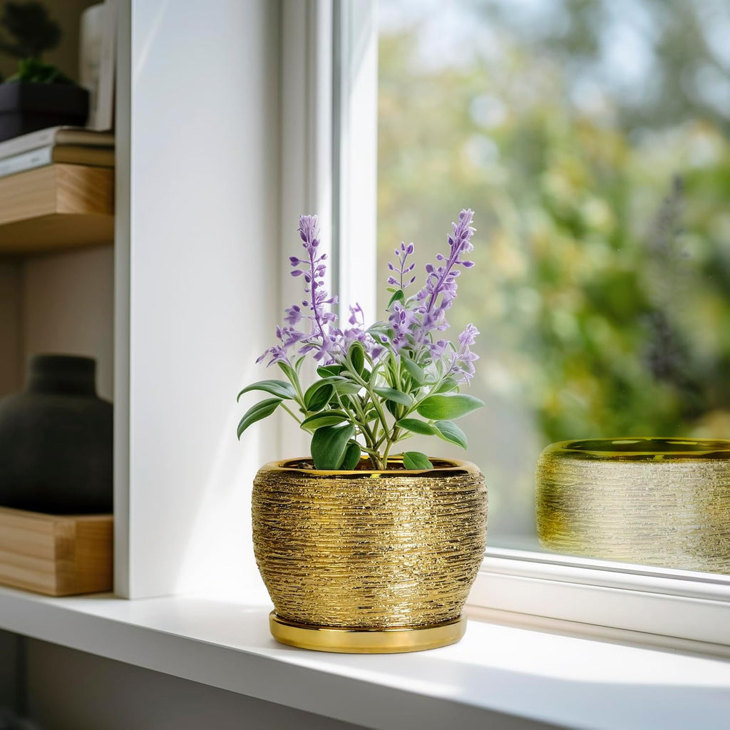 SQOWL Ceramic Planter - 6 Inch Plant Pot Indoor Outdoor, Modern Round Planter with Drainage Hole and Plant Saucer