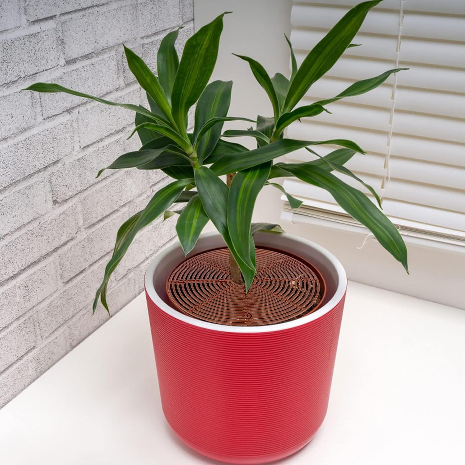 6 Pcs Plant Pot Grid Soil Protector Covers Cuttable Flower Cover for Plant | 11.8''/20.8'' Plastic Plant Pot Cover with