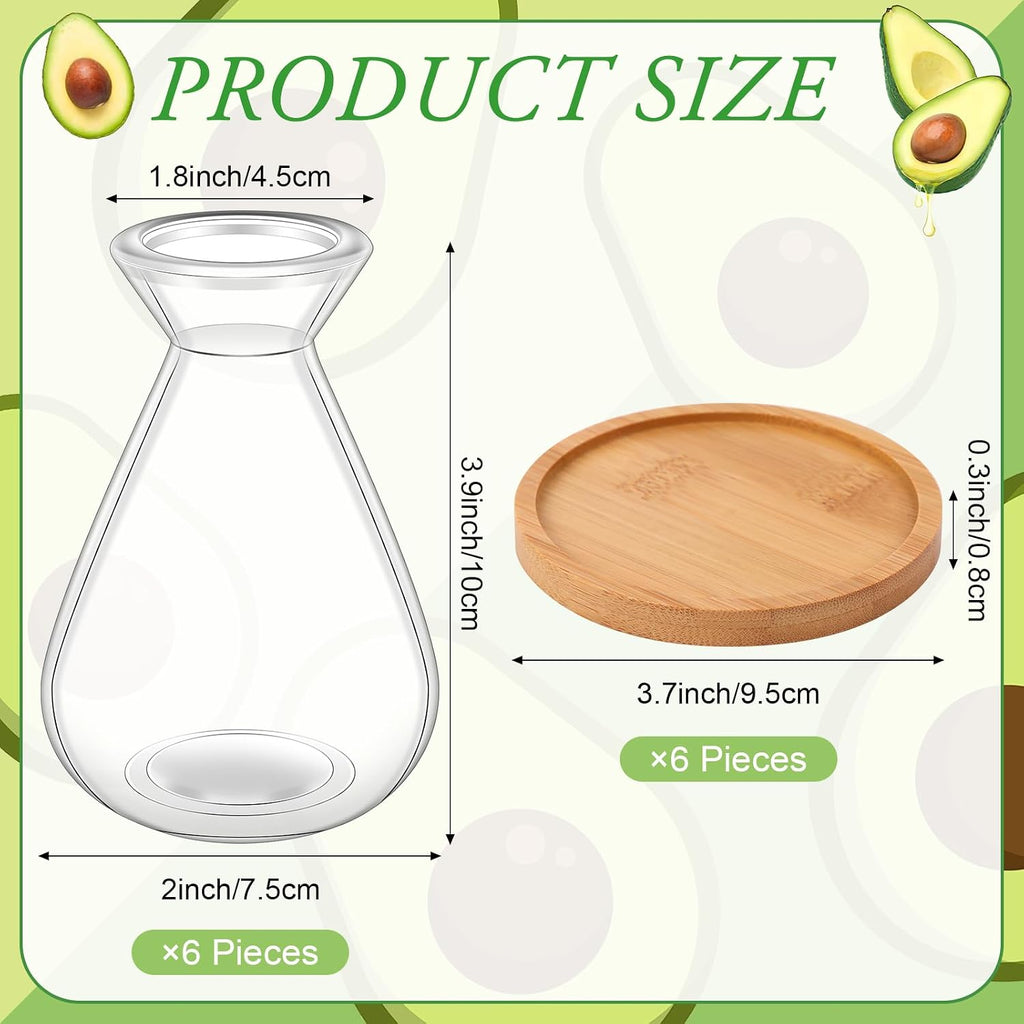 6Pcs Small Avocado Seed Starter Vase with Bamboo Base Avocado Tree Growing Vase Kit Avocado Seed Sprout Starter Vase