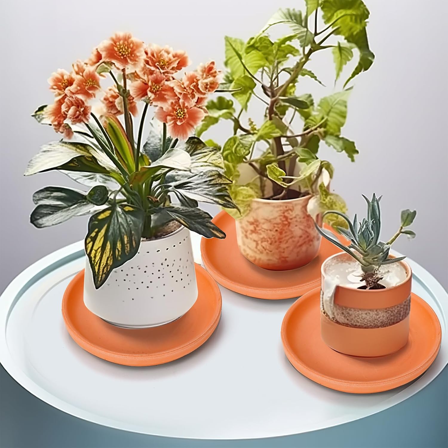 10 Pack Terracotta Pot Plant Saucer, 6 Inch Round Terra Cotta Planter Saucers for 5 Inch 5.5 Inch 6 Inch Flower Pot