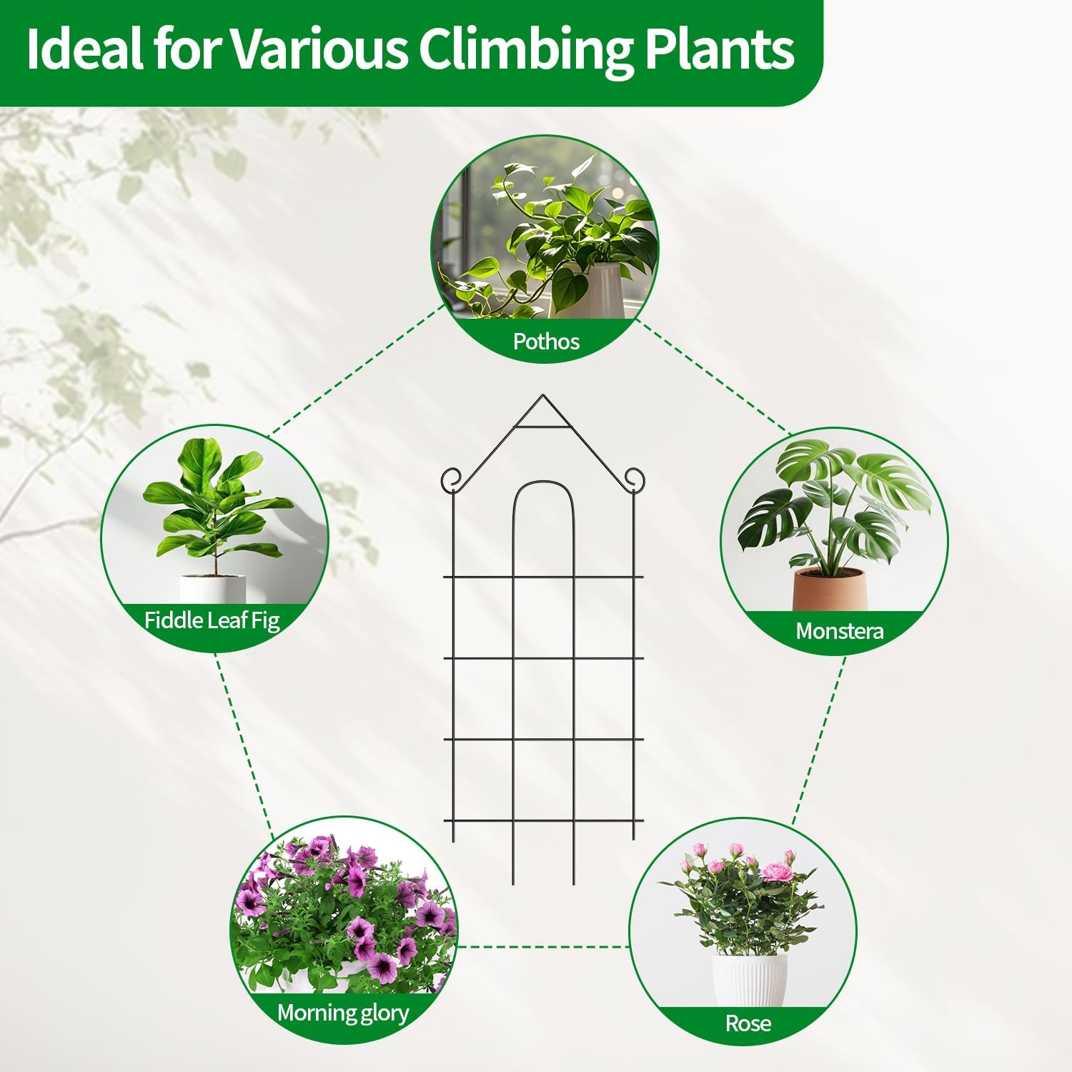 24" Plant Trellis, 6 Pack Metal Garden Trellis for Potted Plants Indoor/Outdoor, Rust-Proof Sturdy Steel Trellis for
