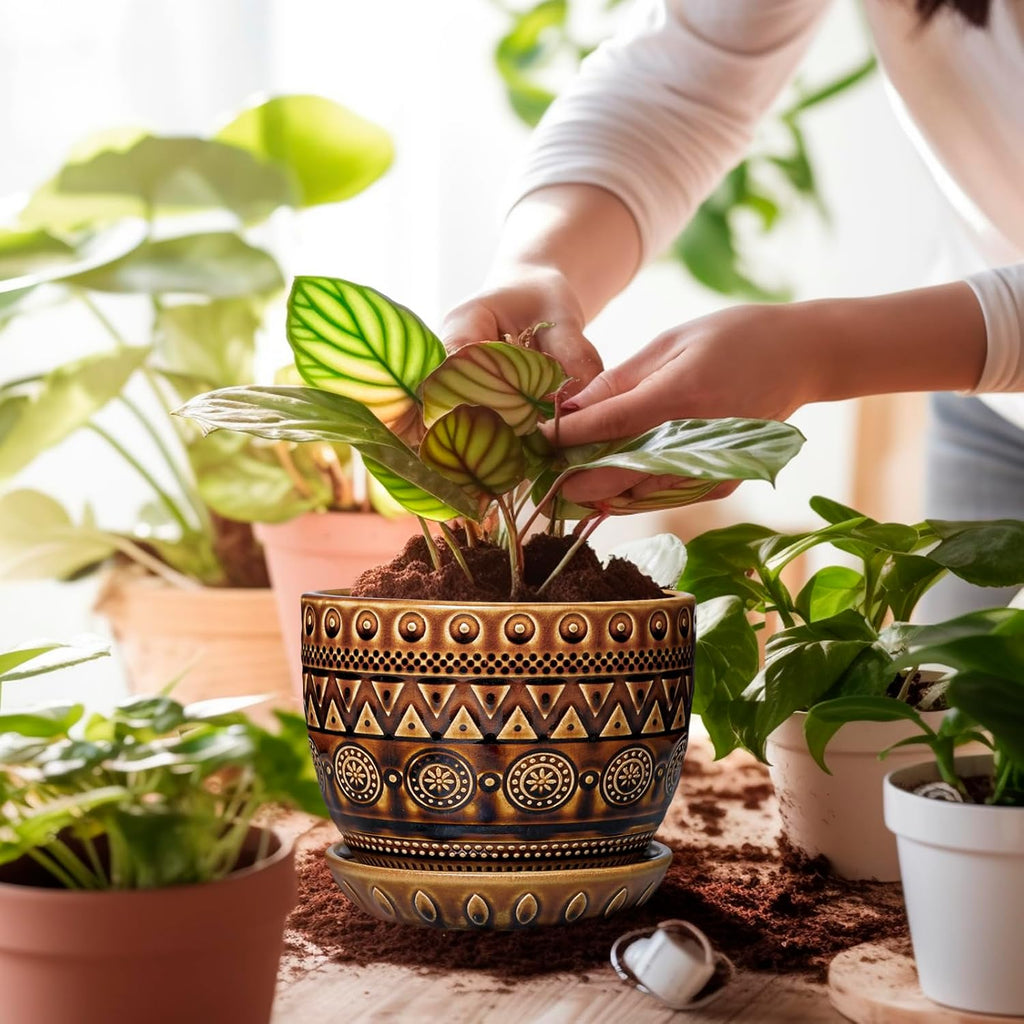 G EPGardening Ceramic Pot for Plants 5.5 Inch - Ceramic Plant Pot with Drainage Hole and Saucer, Boho Round Planter for