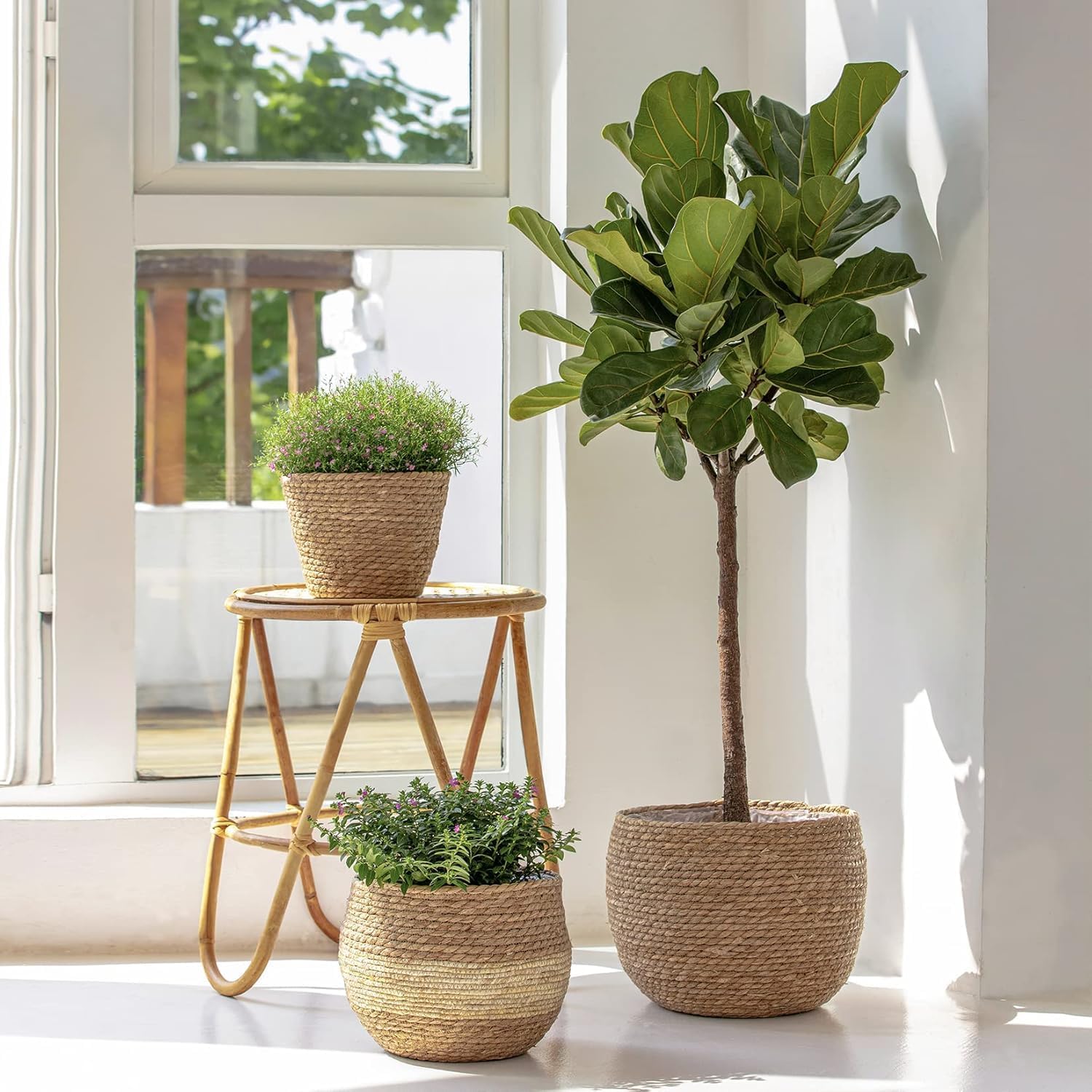 LA JOLIE MUSE Seagrass Basket Planters for Indoor Plants, Flower Pot 3 Pack | 13.5+12+9 Inch, Handwoven Natural