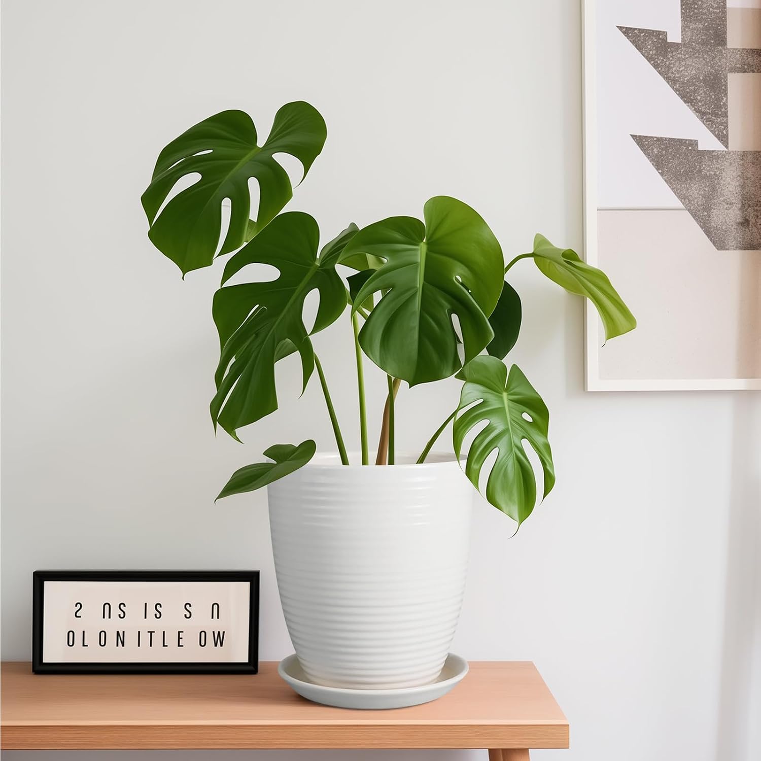 8 Inch Ceramic Planter Pot Round Plant Pot with Drainage Hole and Saucer Modern Flower Pot for Indoor Outdoor Plants