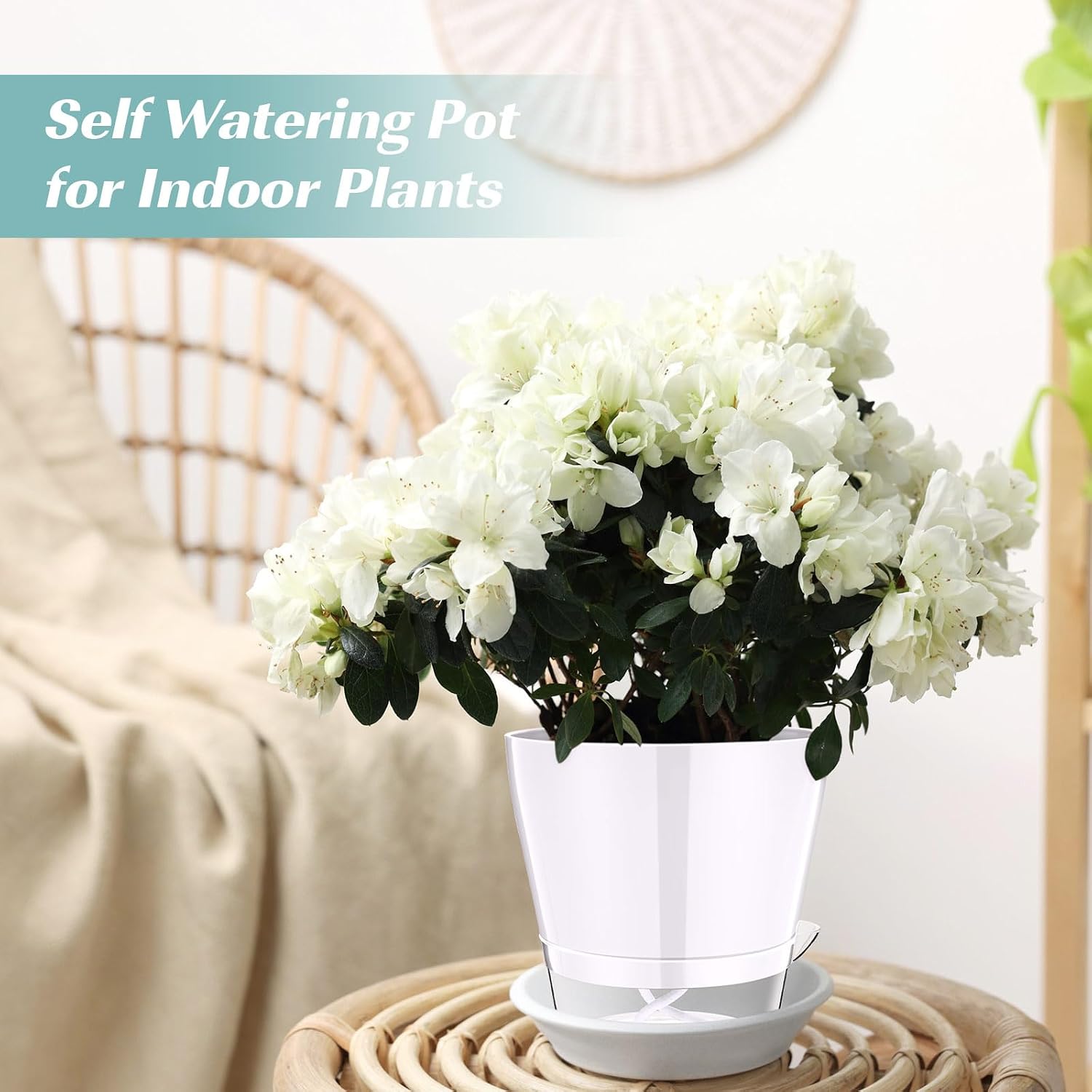 Funnymoom 6 Pack 6 Inch Self Watering Plant Pots Self Watering Planters with with Visual Reservoir and Drainage Hole