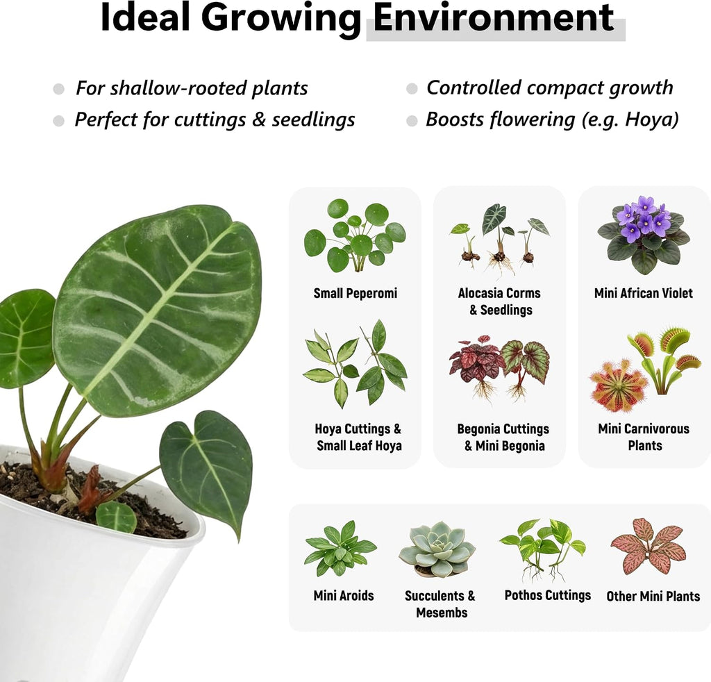 10 Pack 4" Self Watering Small White Plant Pots for Indoor Plants, Clear Inner Cup, Water Level Indicator, Drainage