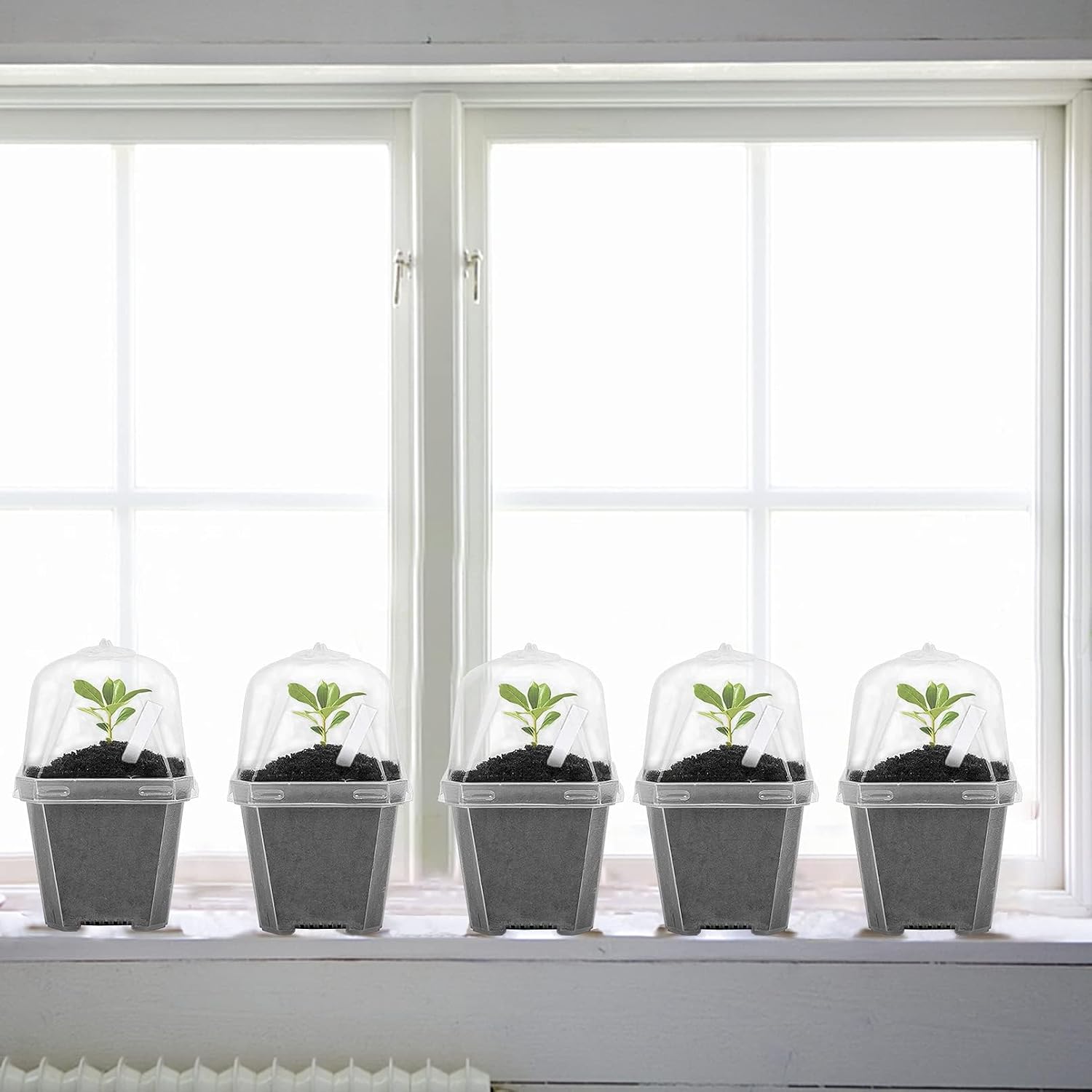 50 Pcs 3" Clear Plant Nursery Pot with Humidity Dome, Plastic Gardening Pot | Plastic Plant Container with Labels