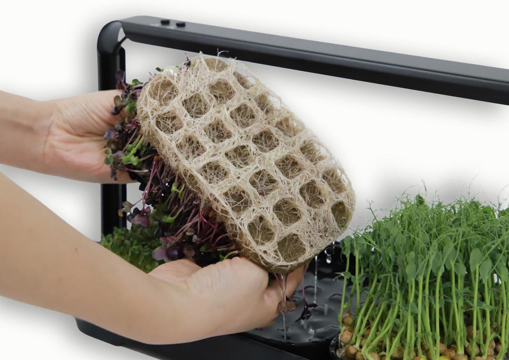 Microgreens Growing Kit Indoor, Micro Greens Indoor Herb Garden Kit with LED Light, 3 Microgreens Growing Trays, 6 Jute