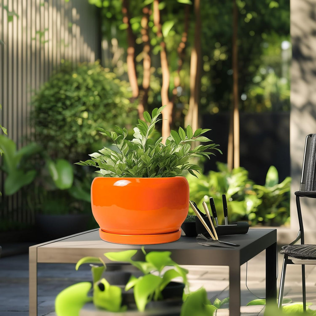 SQOWL Ceramic Planter - 10 Inch Plant Pot with Drainage Hole and Saucer, Round Modern Planter for Indoor Outdoor