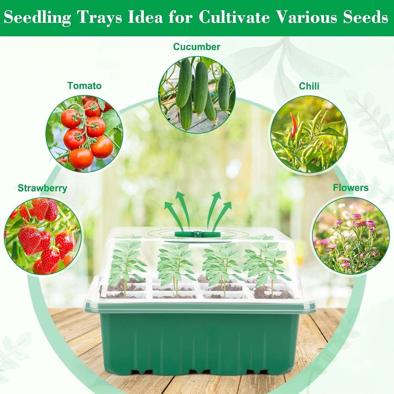 Reusable Silicone Seed Starter Tray, 60 Cells Seed Starter Kit with Humidity Adjustable Dome and Lid, Plant Germination