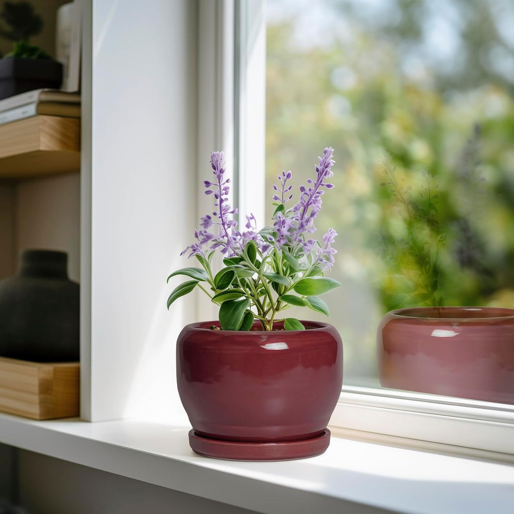 SQOWL 6 Inch Plant Pot - Ceramic Planter for Indoor Plants Outdoor, Round Planter with Drainage Hole and Saucer