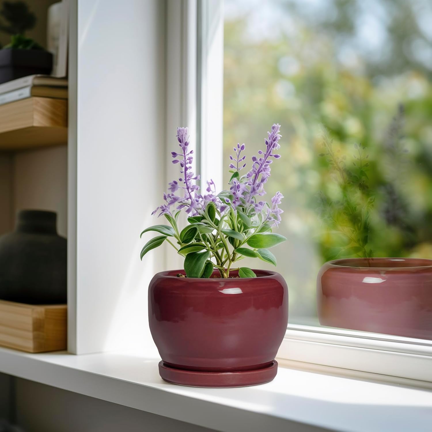 SQOWL 6 Inch Plant Pot - Ceramic Planter for Indoor Plants Outdoor, Round Planter with Drainage Hole and Saucer