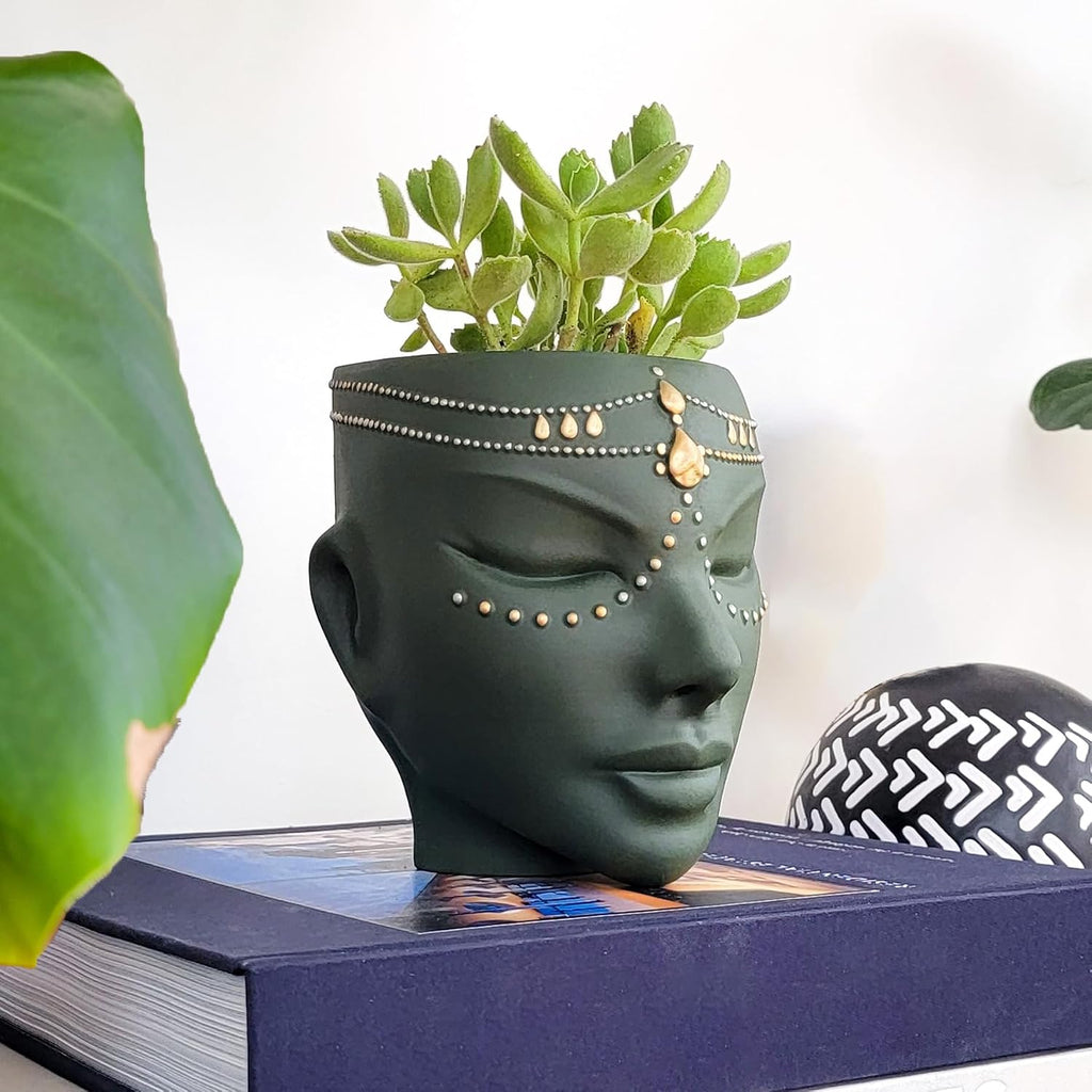 Head Planter - Indoor & Outdoor Home Decor Gifts for Plant Lovers - for Flat Surface or Wall Mount - Unique Face