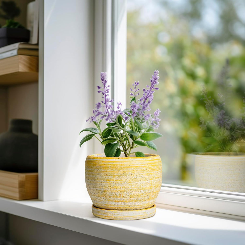 SQOWL Ceramic Planter - 6 Inch Plant Pot Indoor with Drainage Hole and Saucer, Decorative Ceramic Flower Pot Outdoor