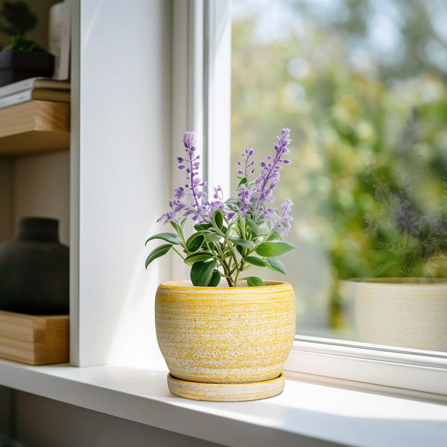 SQOWL Ceramic Planter - 6 Inch Plant Pot Indoor with Drainage Hole and Saucer, Decorative Ceramic Flower Pot Outdoor