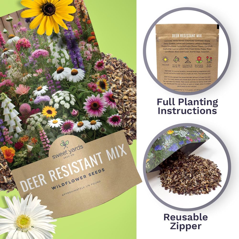 Deer Resistant Wildflower Seed Mixture - Bulk 1/4 Pound Bag - Over 60,000 Deer Tolerant Seeds - Open Pollinated and Non