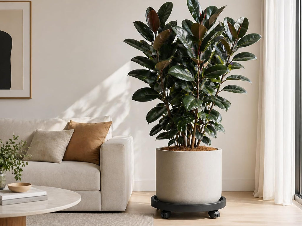 Planterhoma 5 Packs 12 Inch Plant Caddy with Wheels Rolling Plant Stand Wheeled Plant Dolly Heavy-Duty Large Pot Mover