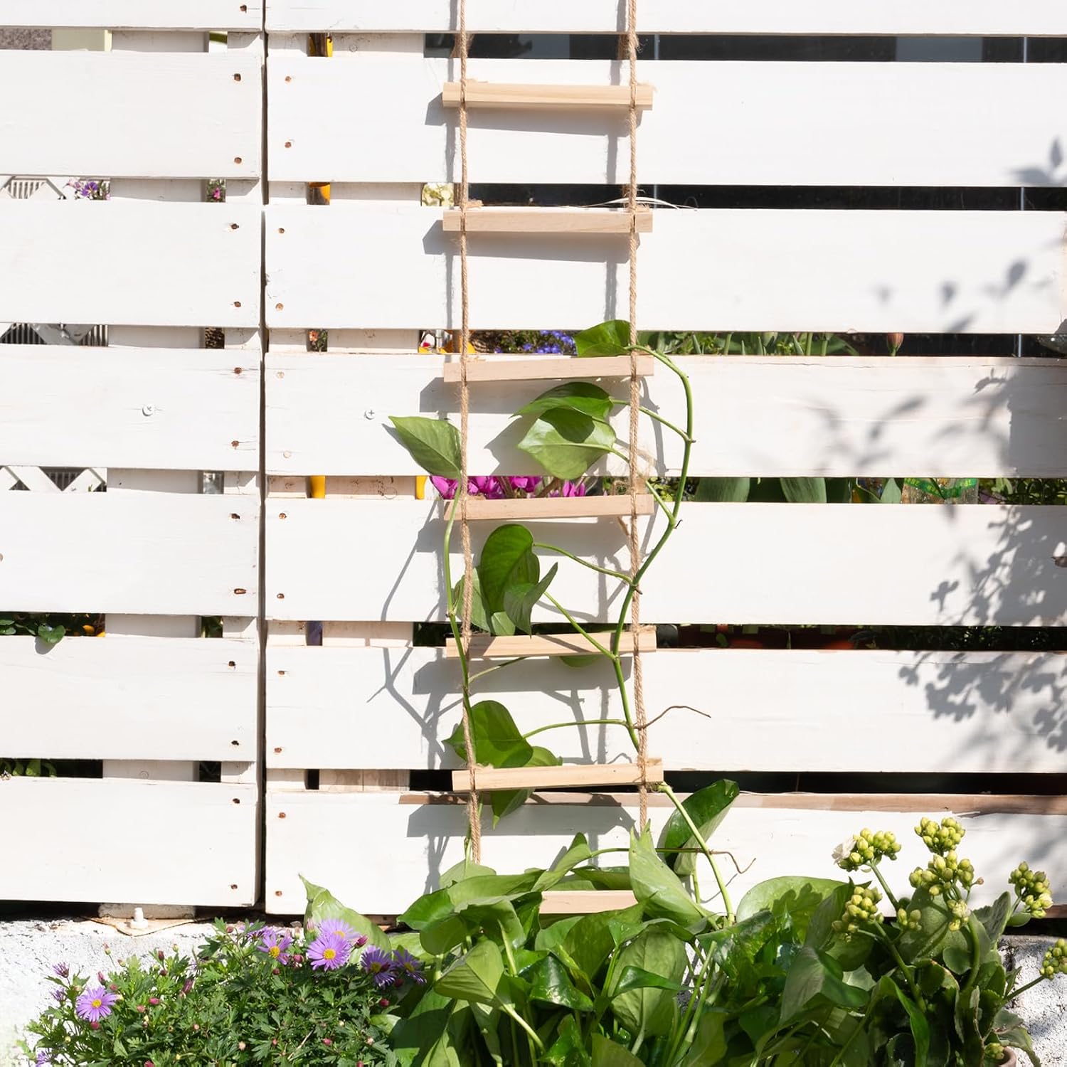 2pcs Plant Ladder Indoor Climb Plants Hanging Wooden Trellis Vine Support | Chain Trellis for Potted Plants Easy