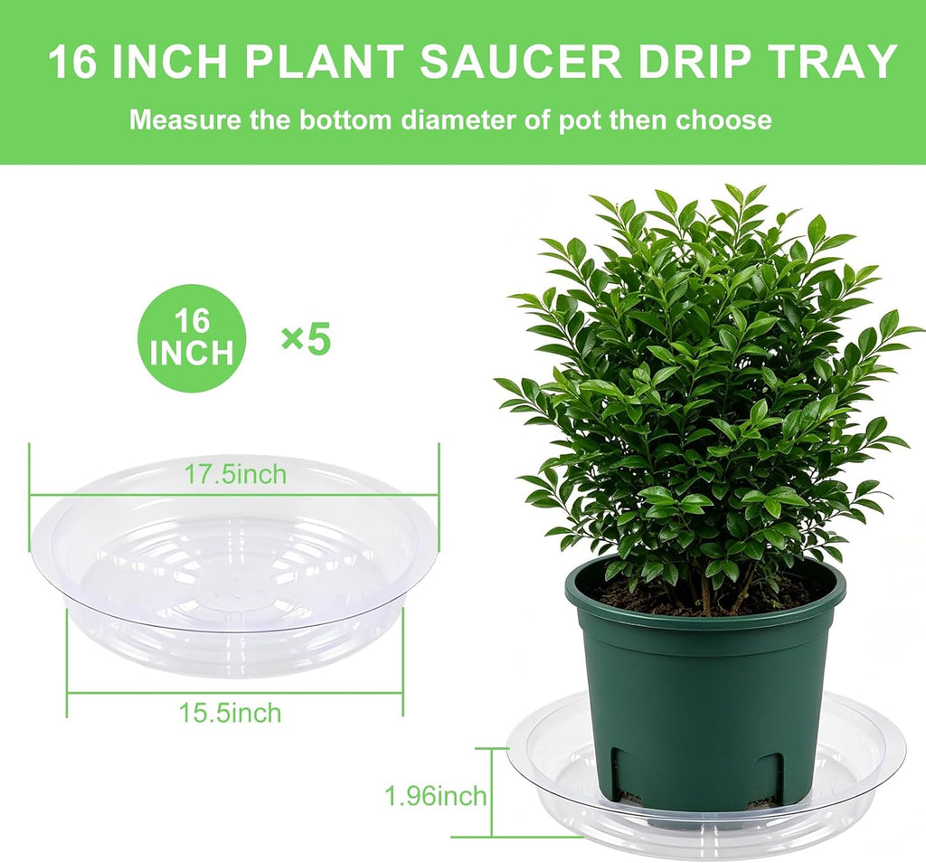 TITE 5 Pack Clear Plant Saucer Heavy Duty Sturdy Drip Trays for Indoor and Outdoor Plants