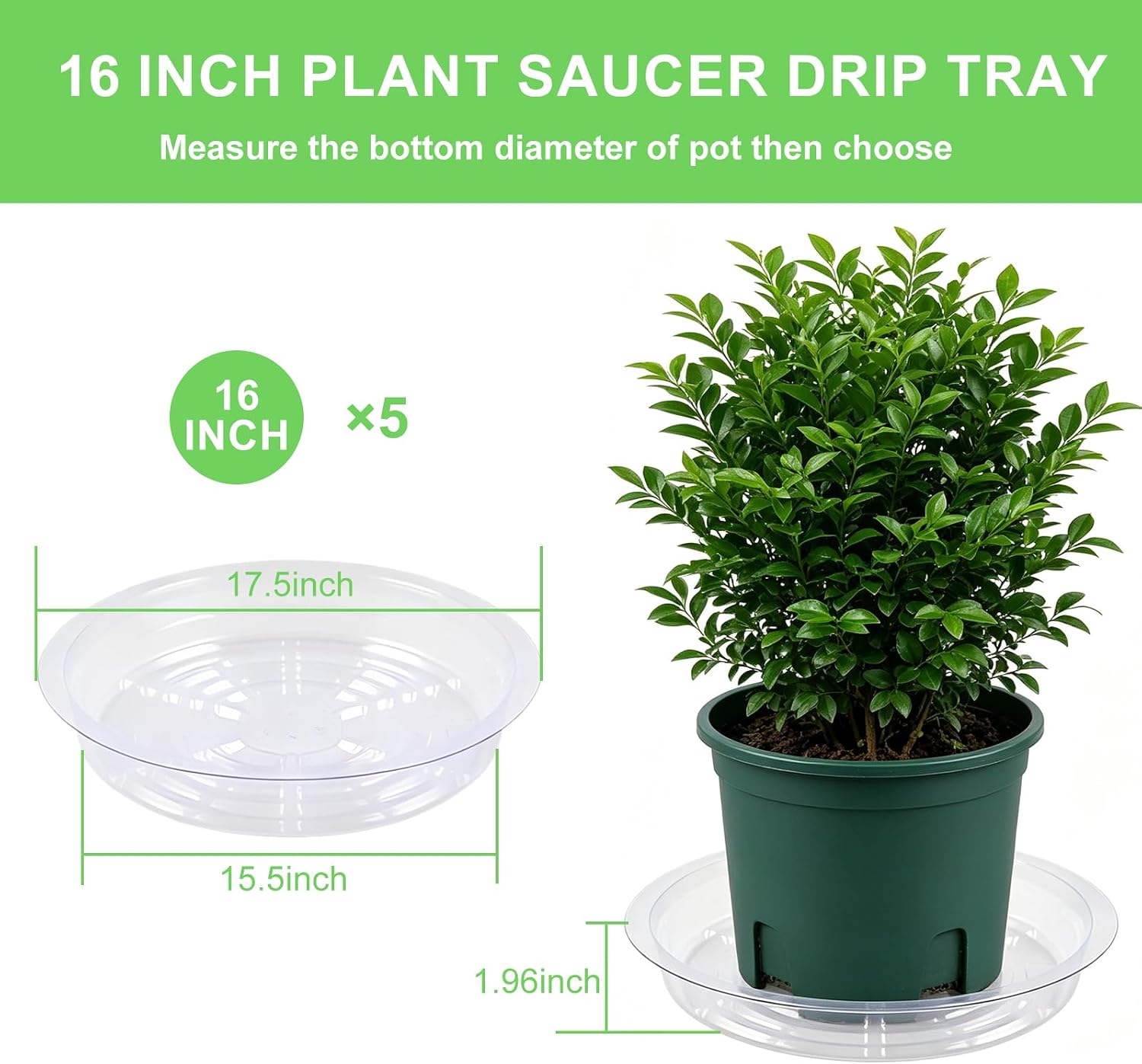 TITE 5 Pack Clear Plant Saucer Heavy Duty Sturdy Drip Trays for Indoor and Outdoor Plants