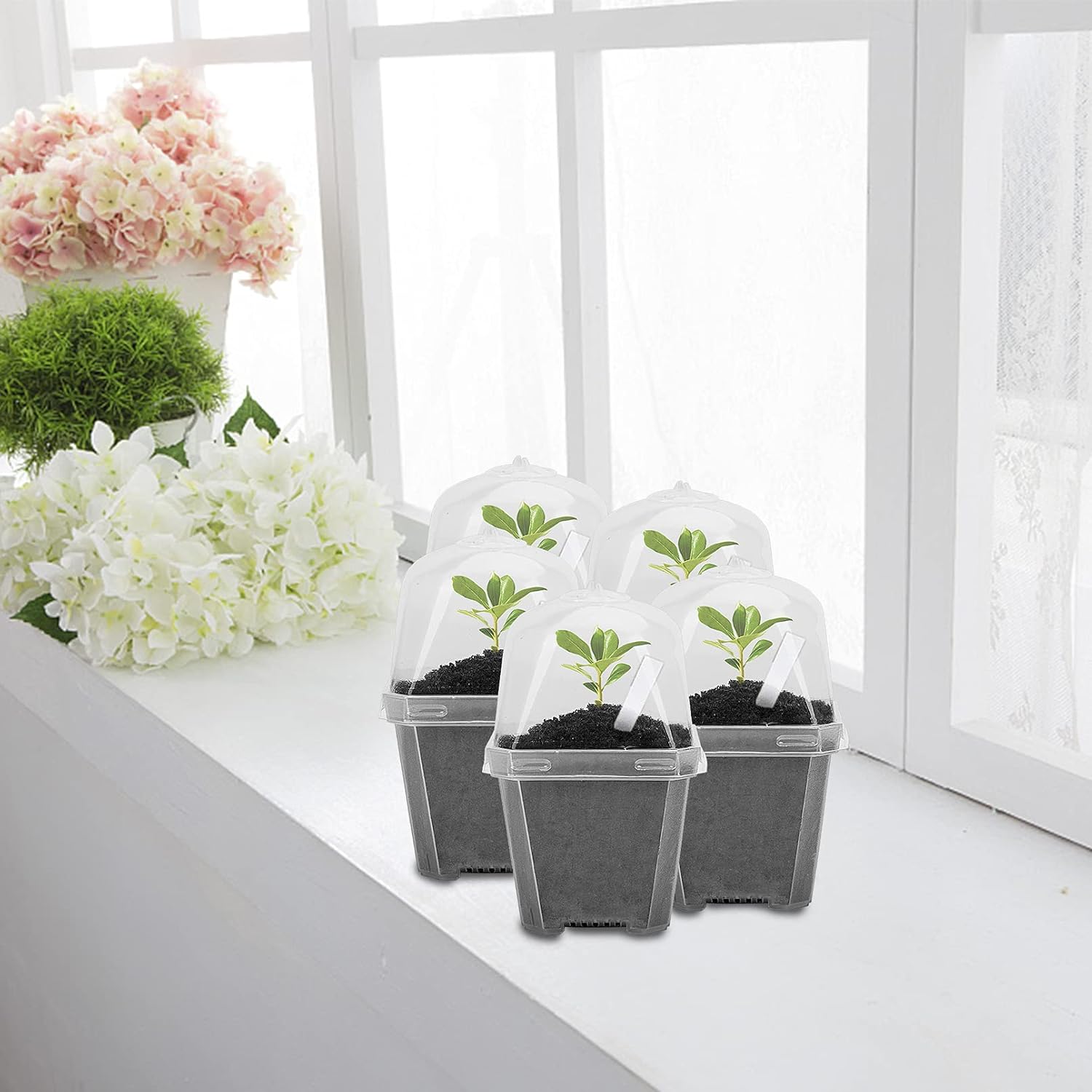 EBaokuup 30PCS Clear Plant Nursery Pots with Humidity Dome - 3" Durable Plastic Gardening Pot, Small Plant Container
