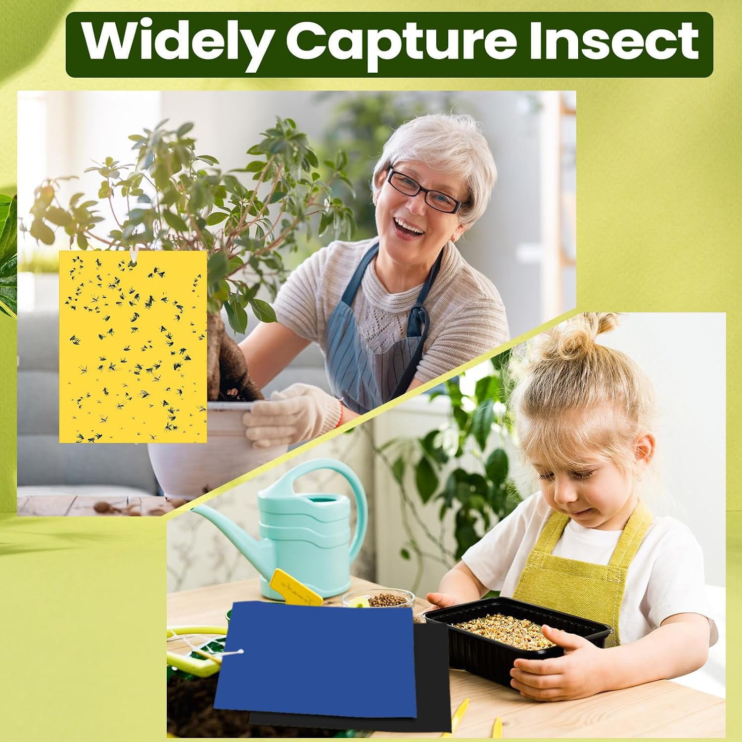 Qualirey 150 Pcs Green Sticky Traps 6x8in for Gnats Indoor | Dual-sided for Fungus Gnats Fruit Flies Whiteflies Thrips