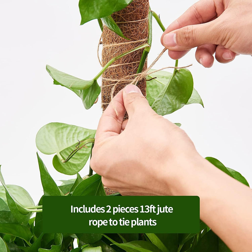 Eibikdi 101in Moss Pole for Plants Monstera 8 Pcs | Plant Support Stakes for Indoor Climbing Plants Grow Upwards, 65ft