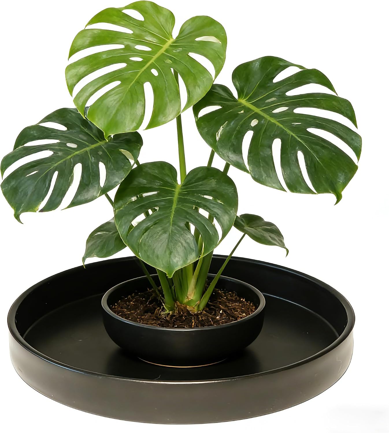 1 Pack 16 inch Plant Saucer Drip Tray, Heavy Sturdy Plastic Planter Flower Pot Drainage Tray Plate Saucers for Indoor