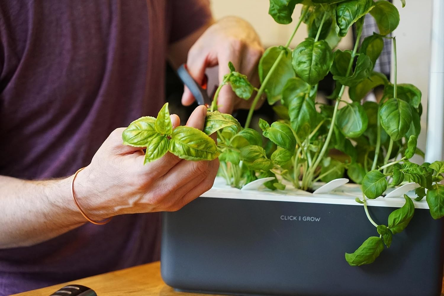 Click & Grow Indoor Herb Garden Kit with Grow Light | Smart Garden for Home Kitchen Windowsill | Easier Than