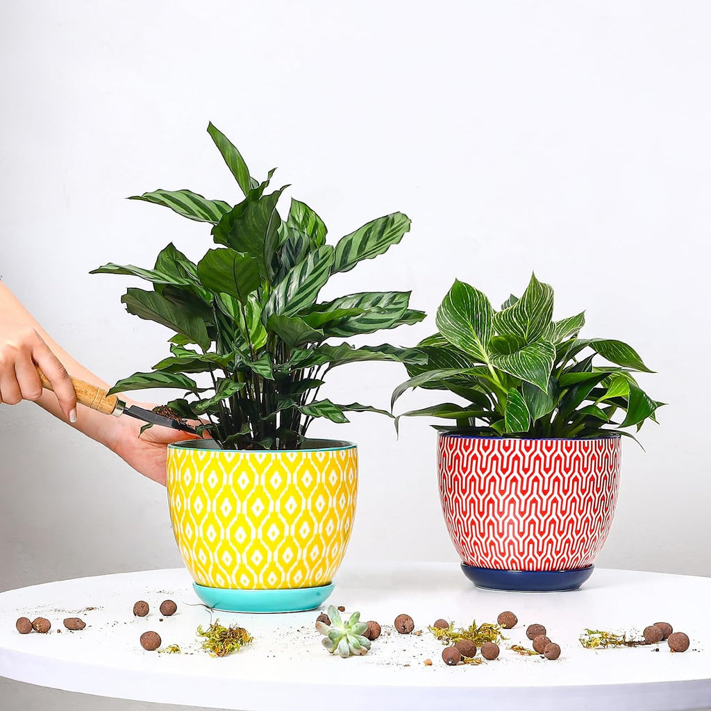 Selamica Ceramica Plant Pots, 6.5 Inch Flower Pots Set of 2 with Drainage Holes & Saucer, Planters for Indoor Plants