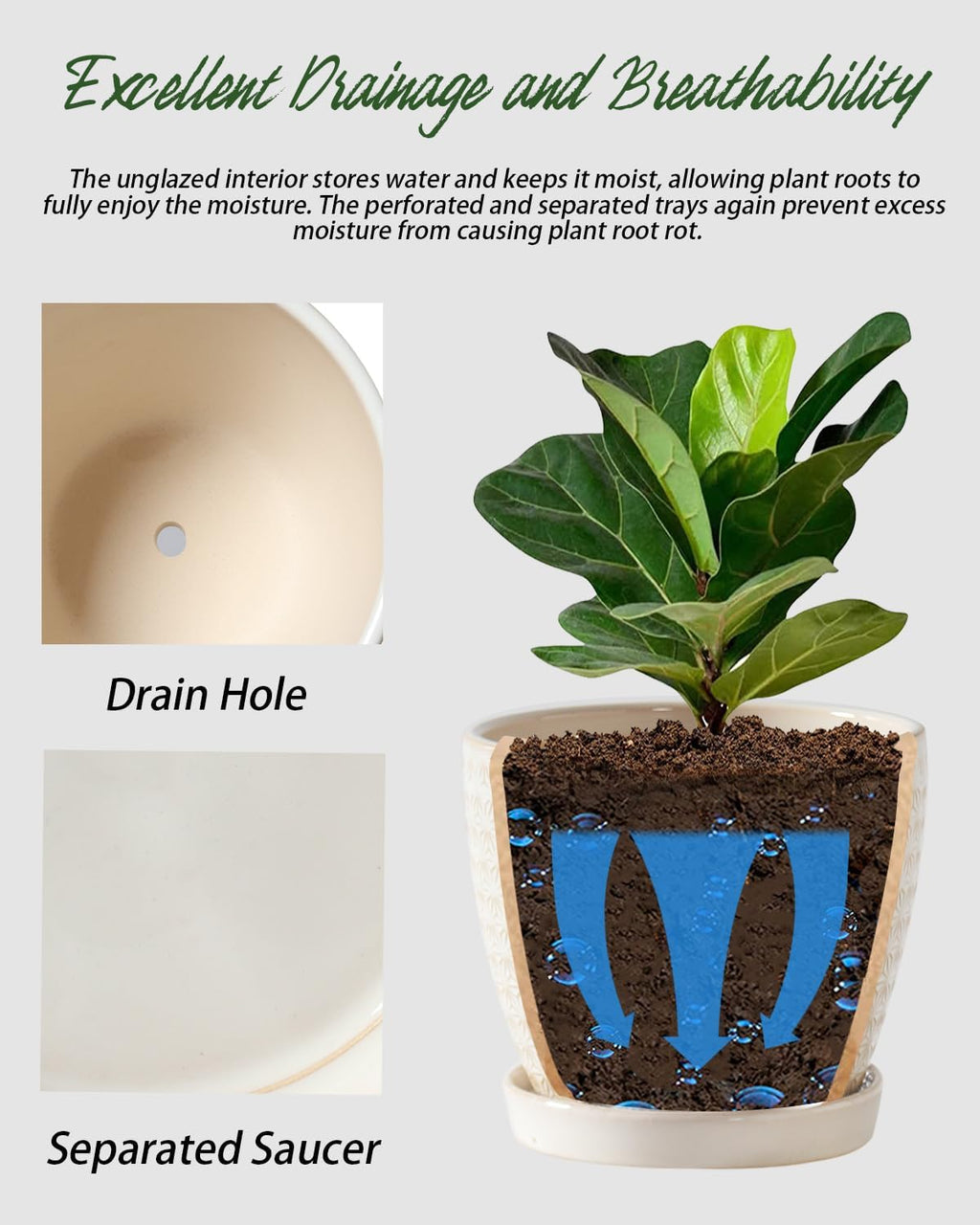 Plant Pots, Flower Pots, Planters for Indoor Plants(6.5+5.5inch), Flower Pots for Indoor Plant with Drainage Hole and