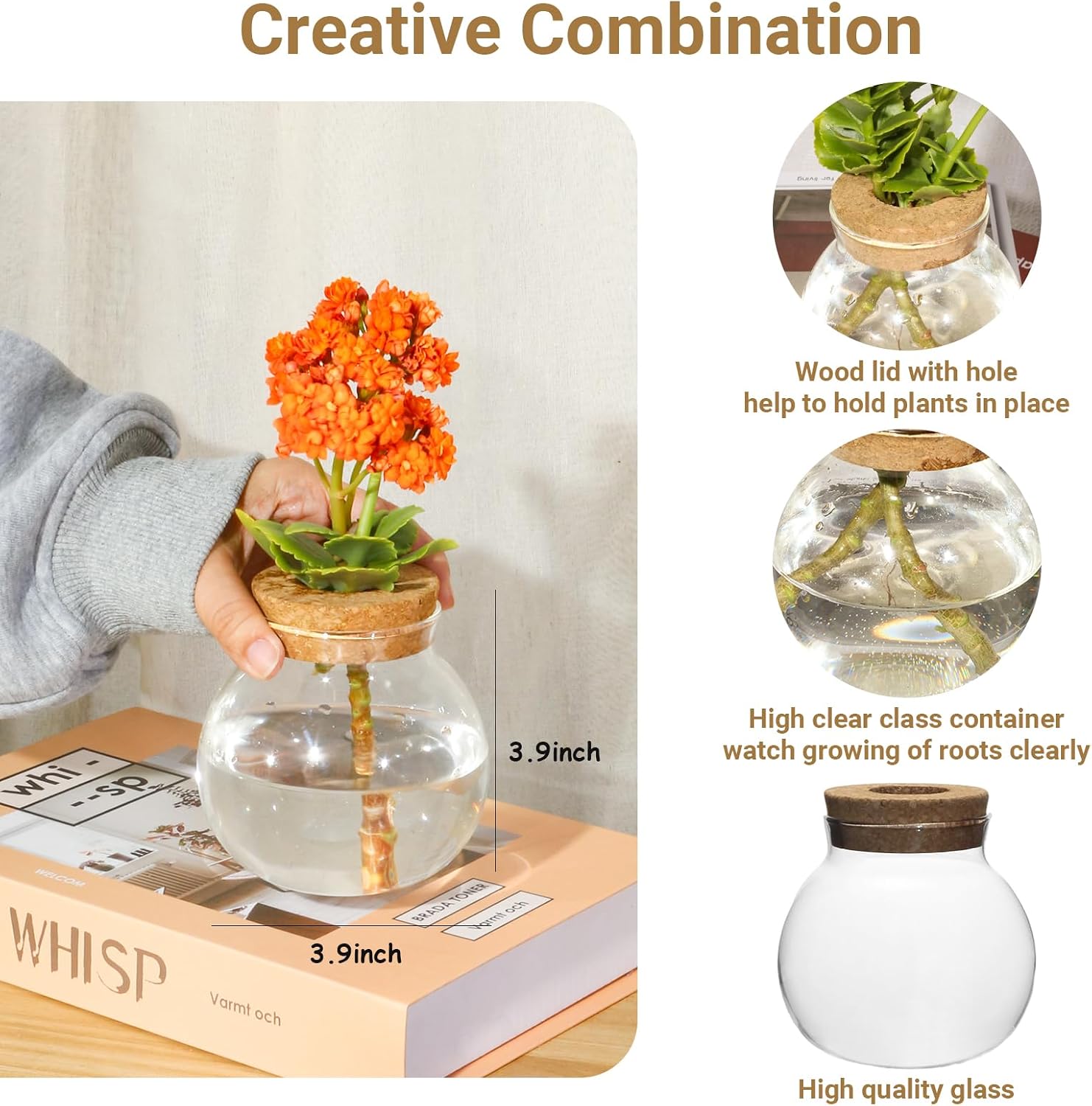 Plant Propagation Station,Hydroponic Terrarium Vase,Desktop Glass Planter Station,for Houses,Garden
