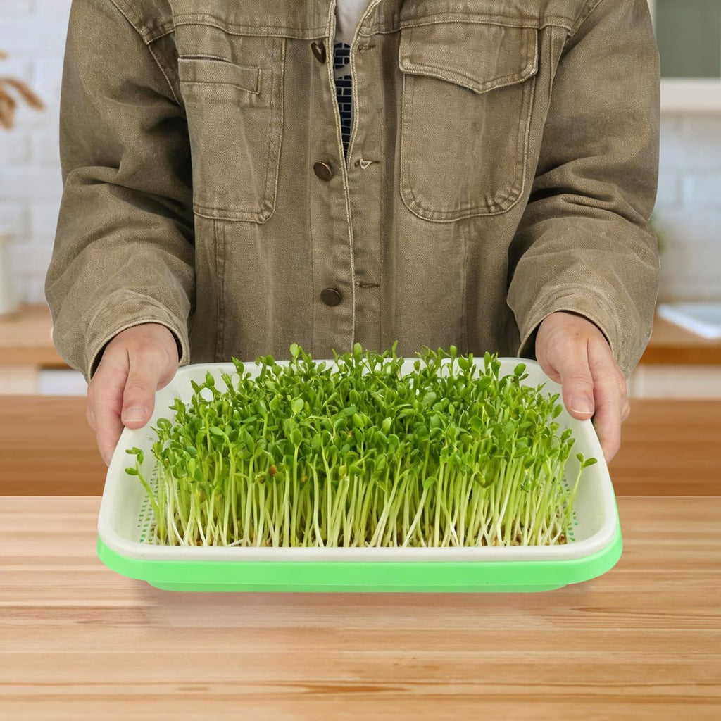 10 Pack 12.6 x 10 x 4.8 inch Microgreens Growing Trays with Lids, BPA-Free Sprouting Trays, Germination Tray for Beans