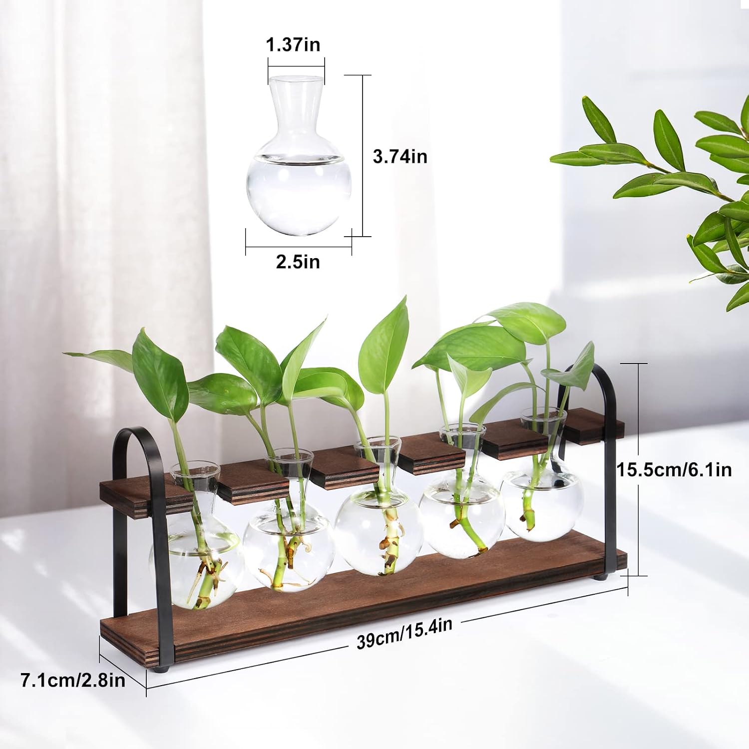 THYGIFTREE Plant Propagation Stations with Wooden Stand | Desktop Retro Plant Terrarium, Bulb Vase for Indoor