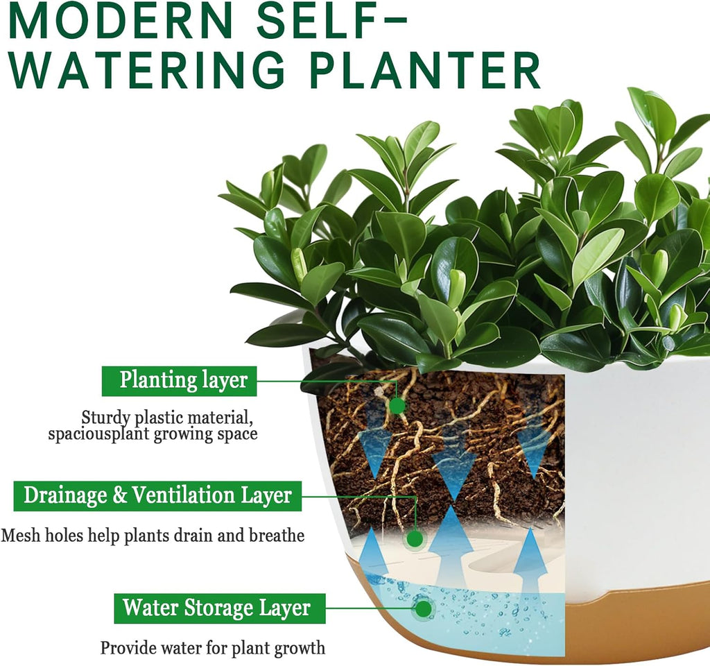 Koalaime 8/10/12 Inch Pots for Indoor Plants, Large Self Watering Planters with Drainage and Saucers, Plastic Outdoor