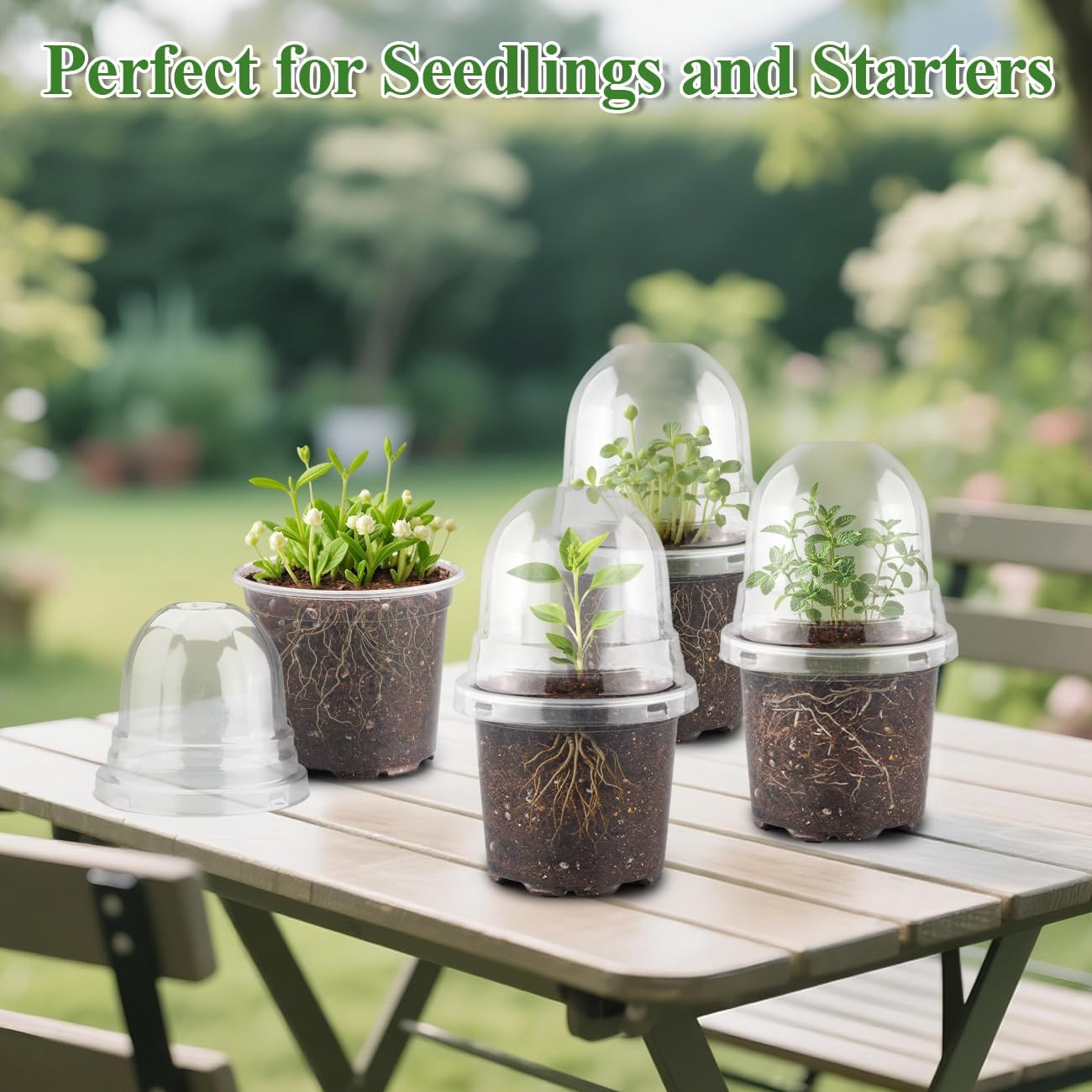 RooTrimmer 60 Pack Clear Nursery Pots with Humidity Domes, 4 Inch Plastic Plant Pots with Drainage Holes for Seedlings
