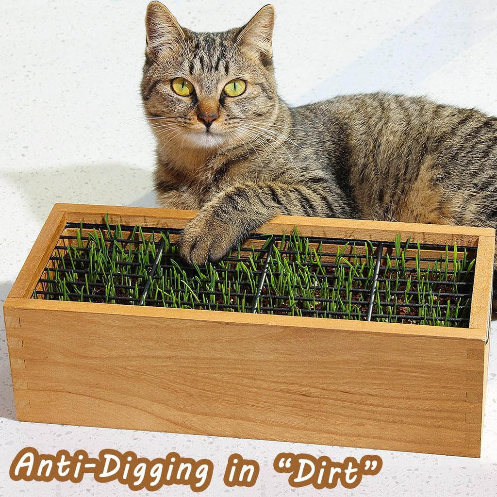 Wooden Cat Grass Planter (no Seeds Included) Anti Digging Design | with Potting Soil Disks, Anti-Digging Grid and