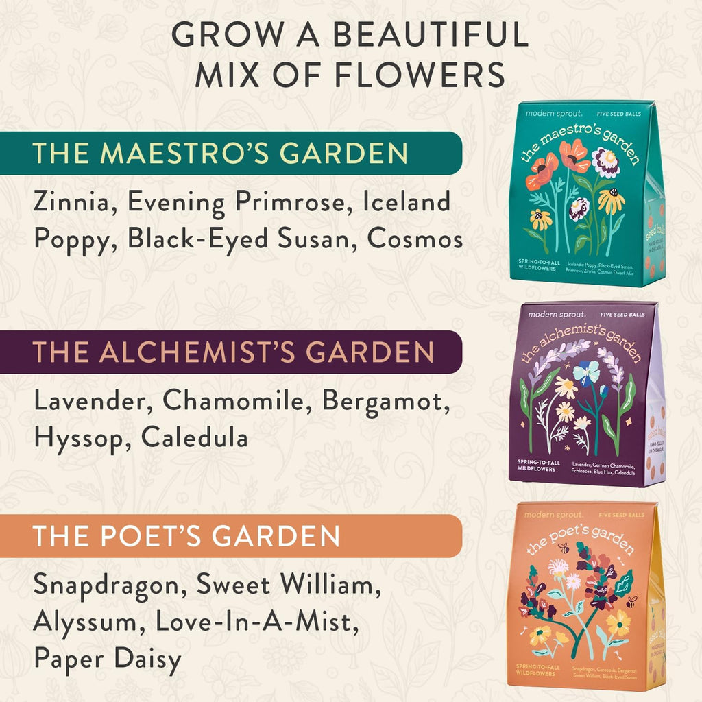 Modern Sprout Bespoke Blooms Flower Seed Ball Kit - Pack of 3 | Non-GMO 15 Hand Rolled Annual & Perennial Wildflower