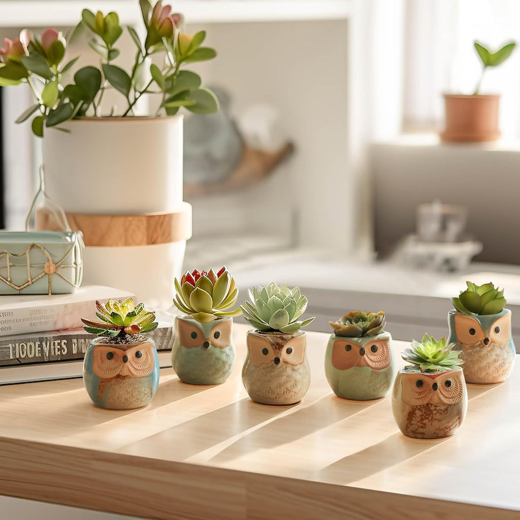 T4U Owl Succulent Pots, Mini Ceramic Gift Planter Set with Drainage 12 Pack | Cute owl design containers, for live