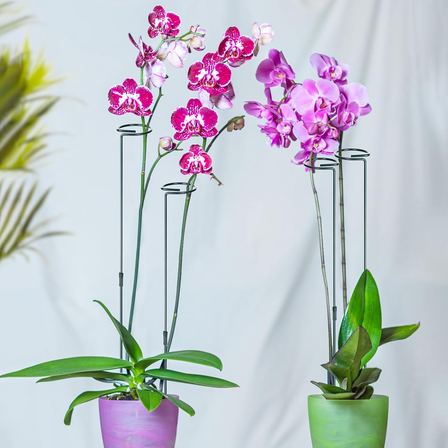 Mwellewm 6 Sets Plant Stakes 12/25/36 Inch Adjustable Plant Support Stakes Tall for Indoor Outdoor Plant Holder Stick