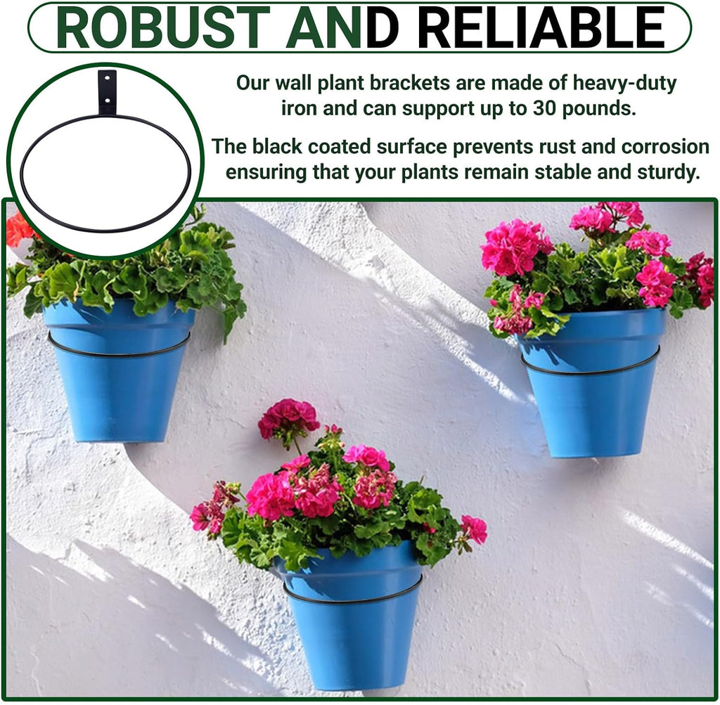 8 Pack 8 Inch Flower Pot Holder Ring Wall Mounted, Steel Plant Wall Hanger, Outdoors & Indoors Hanging Brackets, Fits